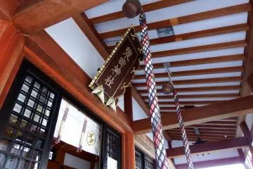 <p>Looking up at the ceiling of the prayer hall</p>