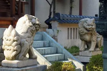 <p>Guardian dogs in front of the main hall of Shibata Shrine</p>