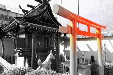 B&W 시바타신사 내 폭스신사