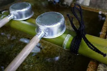 Simple aluminum water scoops rest on green bamboo