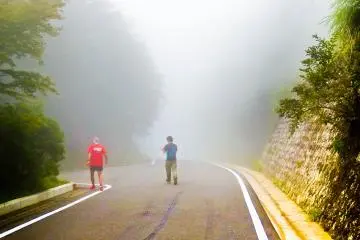 <p>A scene from `Silent Hill` perhaps? The dense foggy mountain roads create an eerie atmosphere</p>