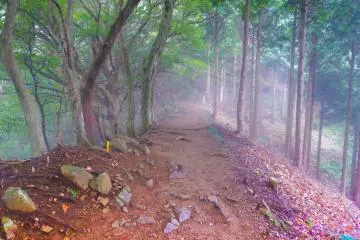 <p>From hear it was downhill, with the fog ever so slightly receding</p>