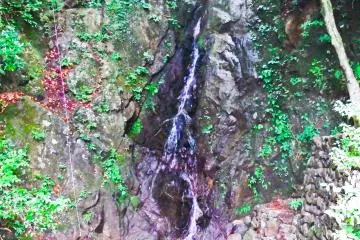 <p>&nbsp;Located close by to these dragons was this small but pleasant waterfall</p>
