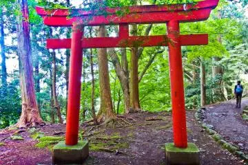 <p>A large bright red `tori` leading &nbsp;down to the much bigger 'Lower Afuri Shrine'</p>