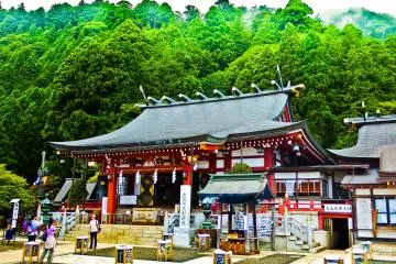<p>The main Shrine hall, surrounded by dense forest, provides the perfect setting for this impressive complex</p>