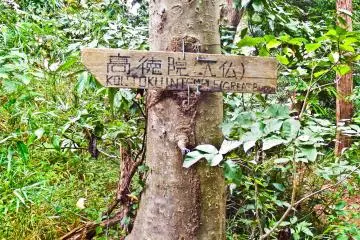<p>Nearing the end! From here its several hundred meters to the Great Buddha&nbsp;</p>