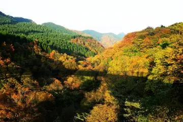 <p>The view from East Great Daisen Bridge</p>