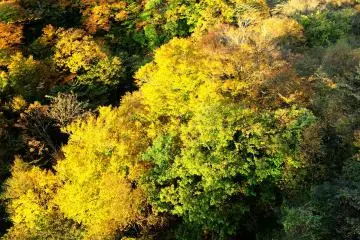 <p>Look down and you'll find another kind of beauty here</p>
