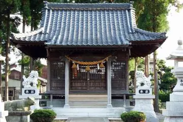 Gallery image