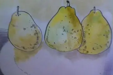 Still Life Watercolors