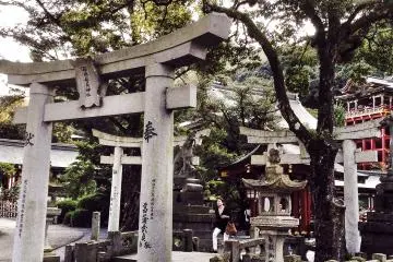 Clusters of torii&nbsp;can be found almost everywhere you look.