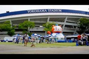試合前のハマスタ（横浜スタジアム）