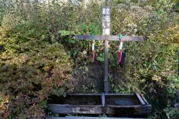 <p>ที่ล้างรองเท้า เก๋</p>