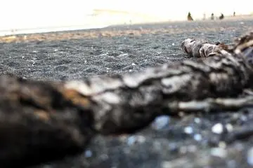 <p>The beach is mainly small stones as well as some leftover pieces of wood and seashells, there's not much sand here at all.&nbsp;</p>