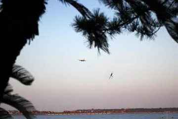 <p>I wonder if this spider was able to net that airplane, unfortunately it's only an optical illusion as the plane is a few hundred meters behind and away from the spider.&nbsp;</p>