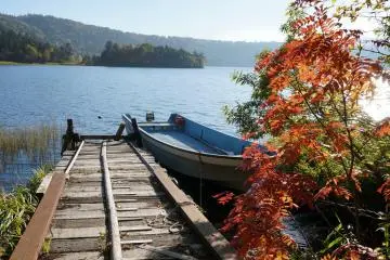 <p>มีเรือ แต่พายไม่ได้</p>