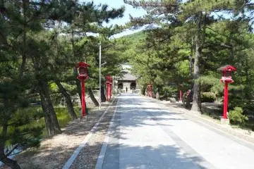 <p>The path with ponds full of turtles on both sides</p>