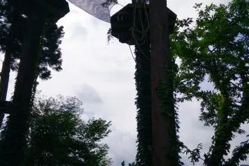 <p>And that is going to catch me?</p>