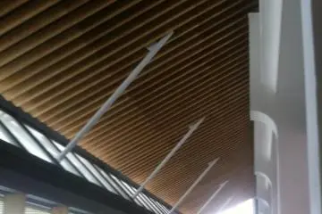 Cathedral like ceilings