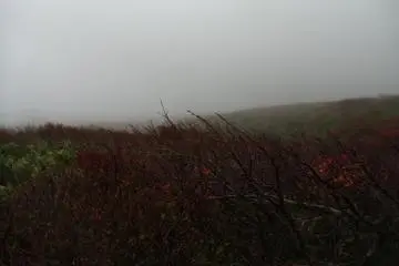 <p>On a cloudy day, your walk will take you through them. It's a bit chilly!</p>