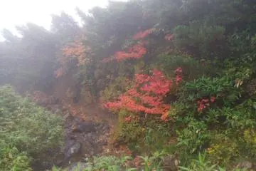 <p>Even through the misty clouds, the scenery is beautiful</p>