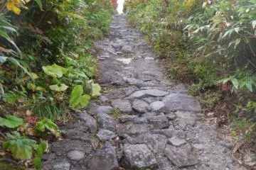 <p>Parts of the path can be a little steep, and possibly slippery, particularly when the leaves start falling</p>