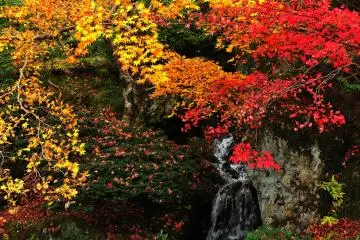 <p>Do not miss the 'Ryuto-no Taki (Dragon Head Waterfall)' and the gigantic stone in the pond which weighs more than 70 tons</p>