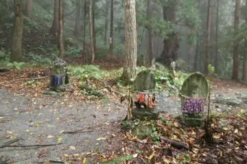 <p>You can wander the temple grounds and even climb the path to the top of the peak</p>