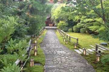 <p>This path transforms in each season</p>