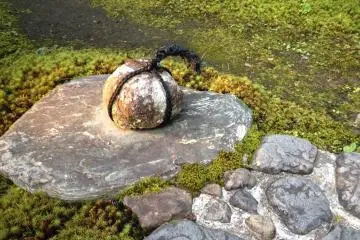 <p>I imagine this has some deep, spiritual meaning...</p>