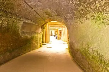 Gallery image