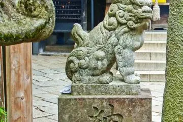 Gallery image