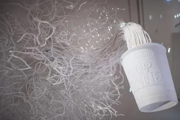 <p>Cette belle sculpture contemporaine repr&eacute;sente vraiment bien la gloire des Cup Noodles</p>