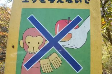 <p>Don't feed the monkeys! One of the more interesting signs along the way.</p>
