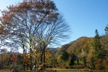 <p>A shot of the greenery in Akiu.</p>