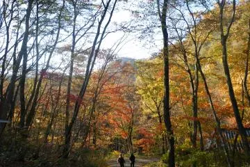 When you leave the waterfall, a stroll through the Botanical Gardens is highly recommended.
