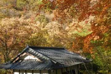 A lone building stands amidst all this beauty.
