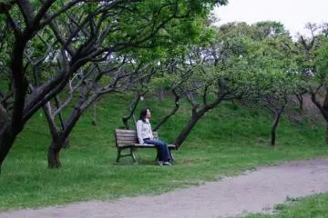 The park is a place of rest and relaxation for everyone who visits. (Photo: Larry Knipfing)