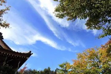 <p>Pandanglah langit dan anda akan lihat langit biru cerah merayakan musim gugur</p>