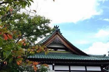 <p>Vermilion leaves and temple roof</p>