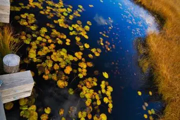 <p>Cerminan langit biru di sebuah kolam kecil &nbsp;</p>