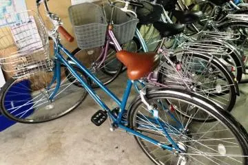 The bicycles are only of one type, but the seats are adjustable for riders of different sizes.