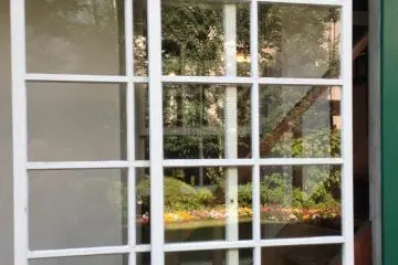 <p>The garden reflected in the old windows</p>