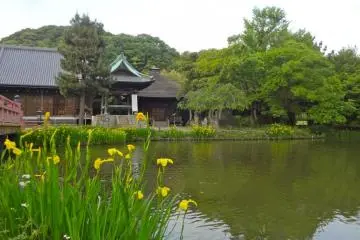 Shomyo-ji Temple was established in 1258 as a family temple of Hojo Sanetoki, one of the Kamakura clans.