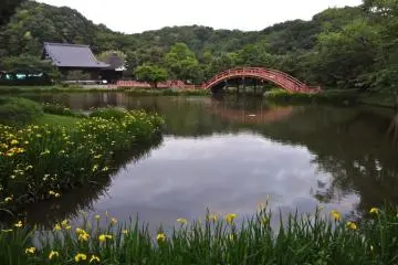 The pond reflecting a land of perfect bliss.