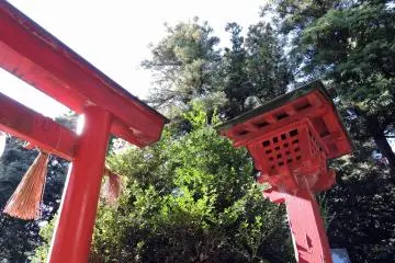 <p>Red torii gate and lantern under the sunshine</p>