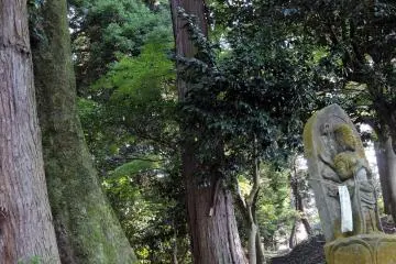 <p>Statue Number twenty-six has yellow moss on its body</p>