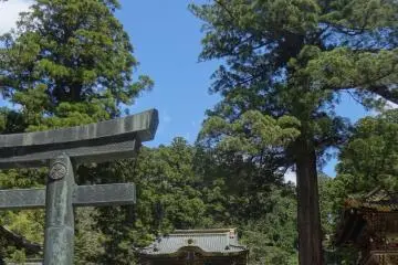 Karado Toii and Yomei-mon Gate