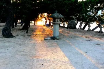 <p>The setting sun casts long shadows through the pine trees and lanterns along the shore</p>
