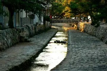 <p>A last patch of sunlight by the bridge</p>